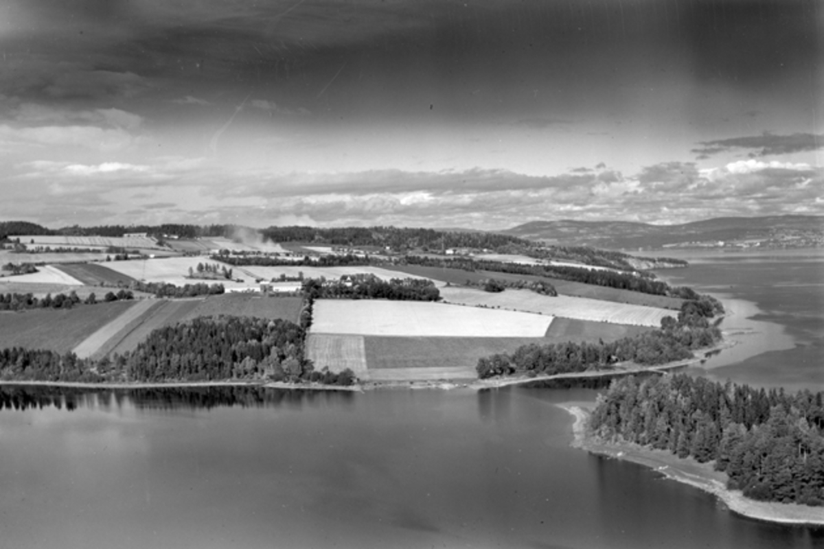 Flyfoto, gardsbruk, Hovinsholm, Helgøya, Mjøsa, Holmen.