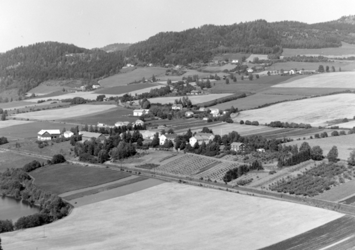 Flyfoto av Statens Hagebruksskole Vea, Ringsaker.