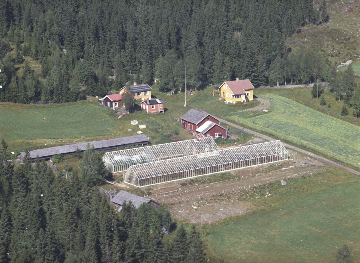 Flyfoto, Lismarka, Ringsaker. Dette er Solli. Med gartneri drevet av Arne Mattiasen. Gartneriet ble drevet fram til ca 1979. Stedet har tidligere også vært pensjonat.