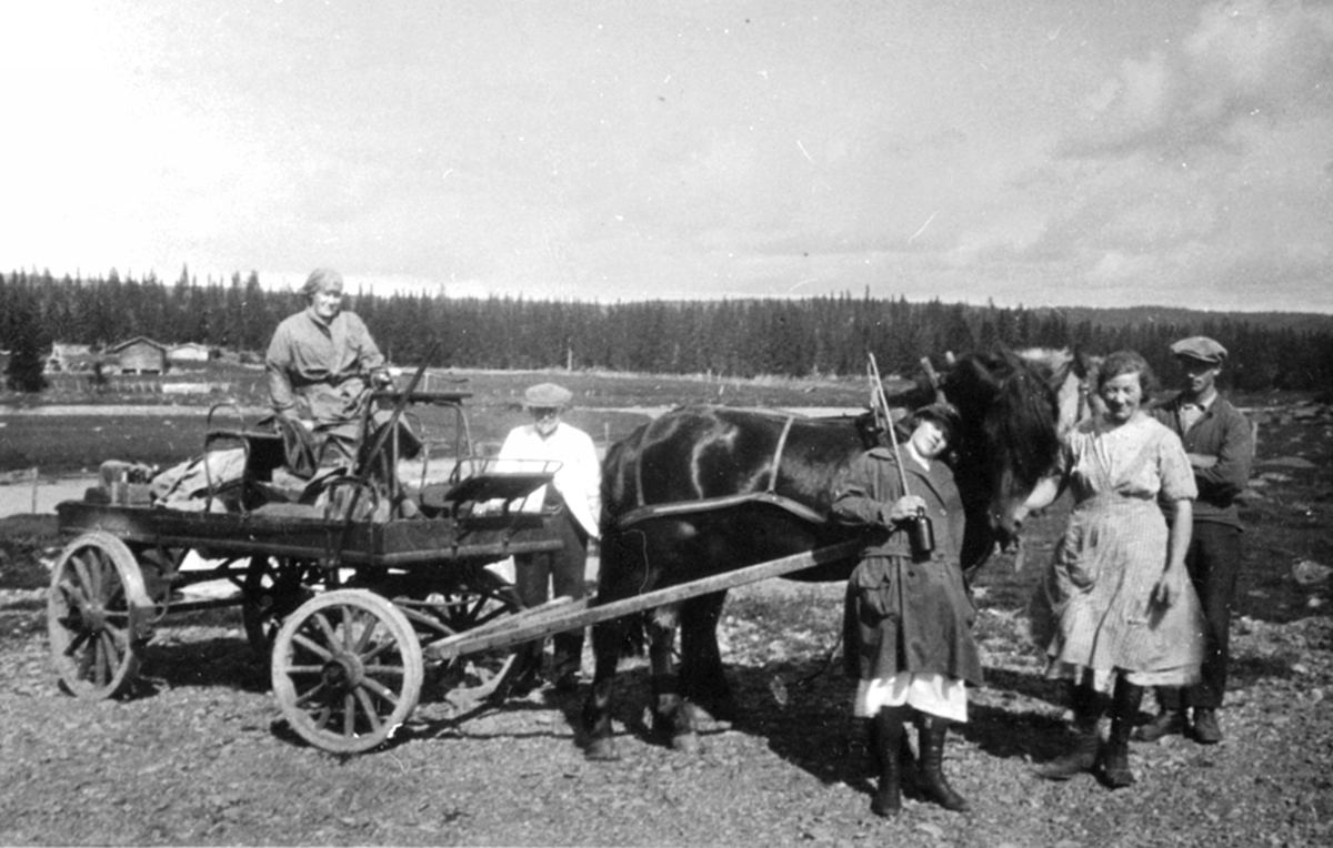 Hest med kjerre (arbeidsvogn, melkevogn) på Olshølen setermeieri, Åstadalen, Ringsaker. Fem personer deriblant Emil Husebye, Emil Husebye.