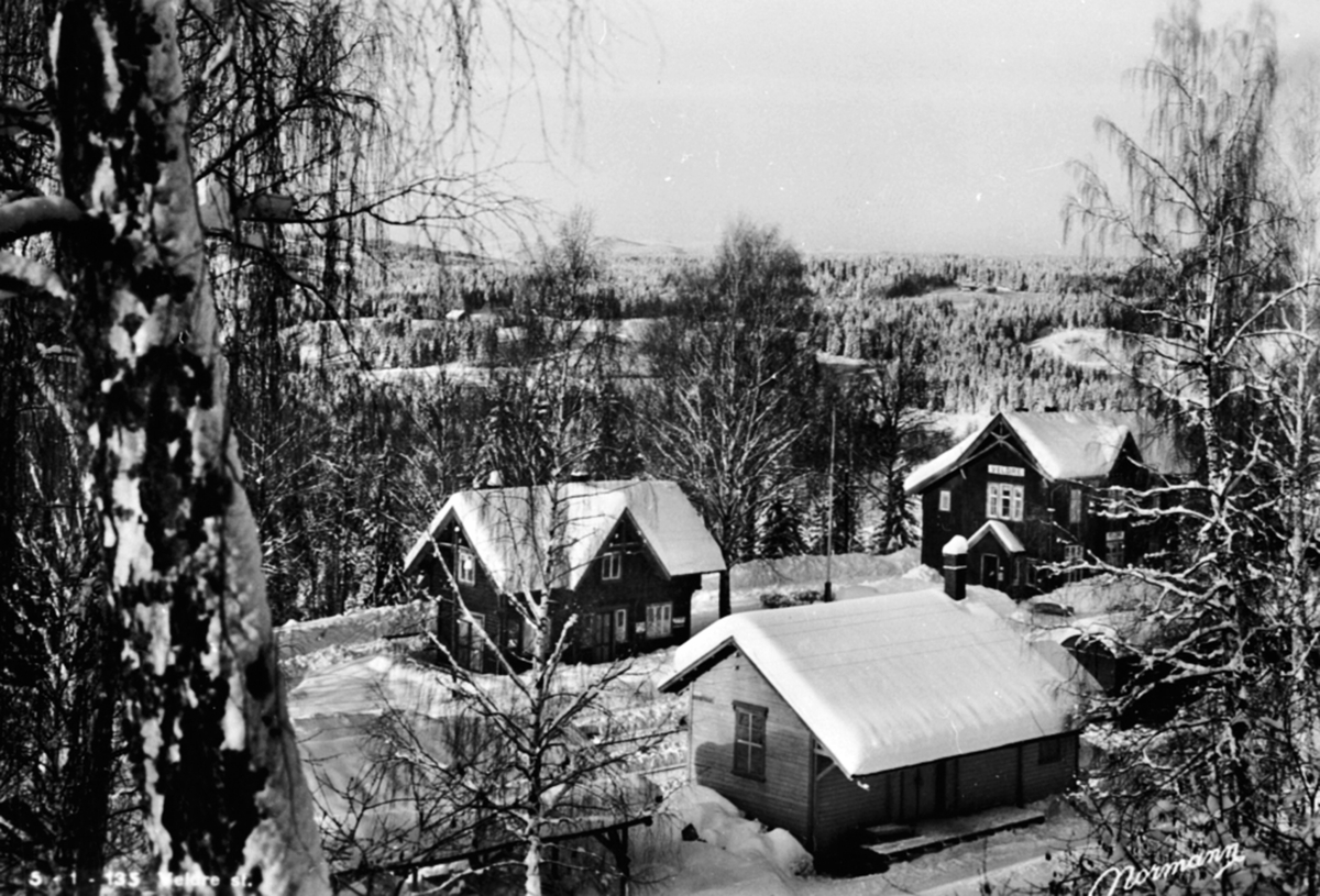 Postkort, Ringsaker, Veldre stasjon,