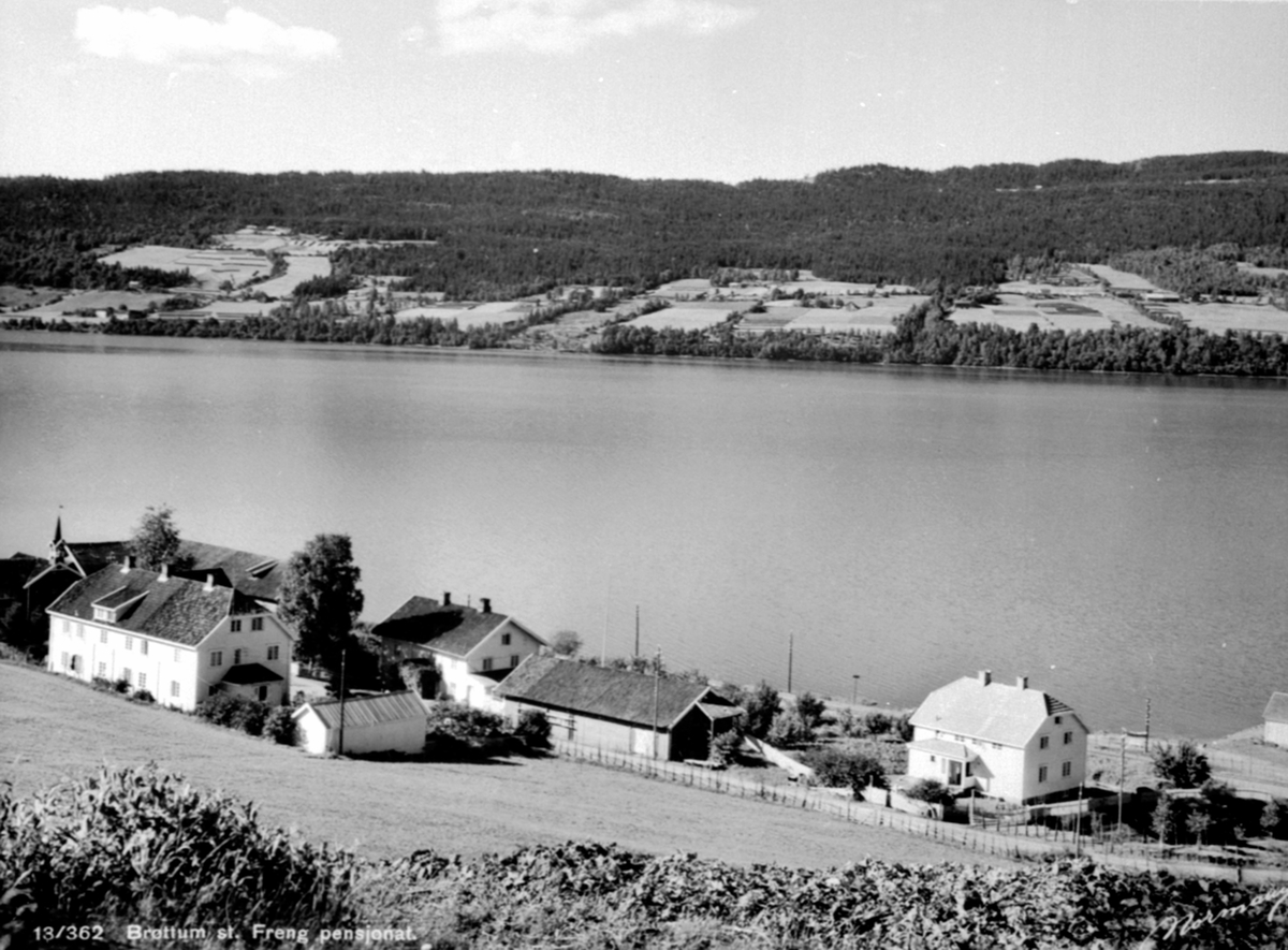 Postkort, Oversikt Freng pensjonat, Freng søndre, Brøttum, Ringsaker. Utsikt mot Mjøsa.