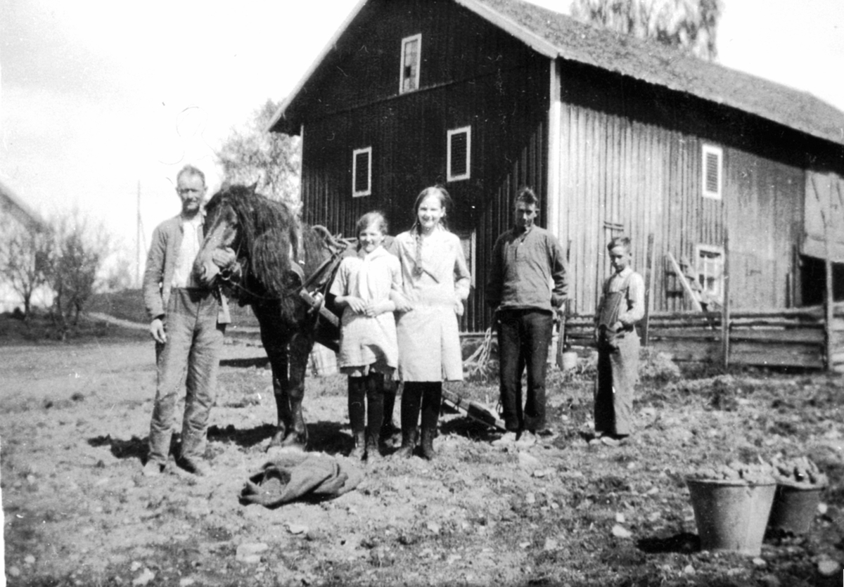 Potetsetting i Vestgård. Fra venstre er bruker Richard Carlsson med hest, Hjørdis Nyborg, Aslaug Nyborg, ukjent gutt. Bøtter med settepotet. I dag ligger Brumunddal sykehjem her.