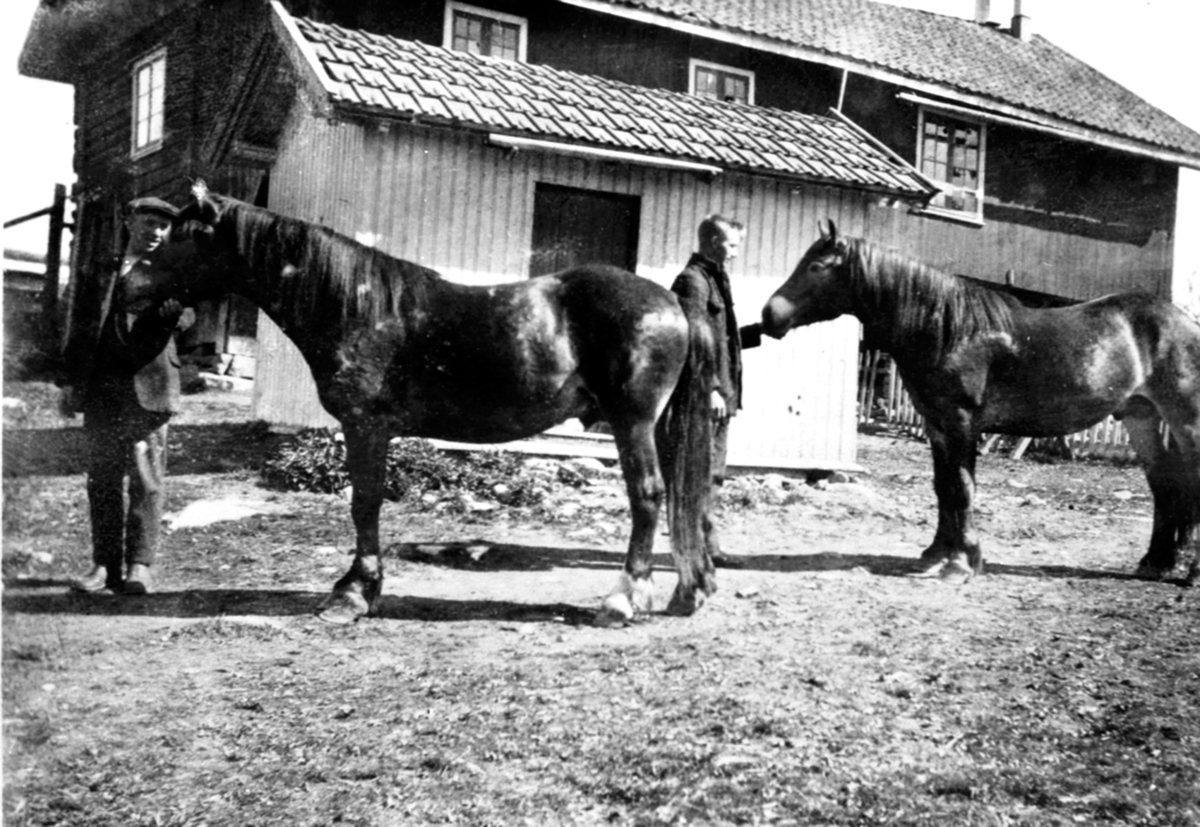 Hans og Erling Storlien med hester foran kumhus og stabbur på Storlien gård, Veldre, Ringsaker.