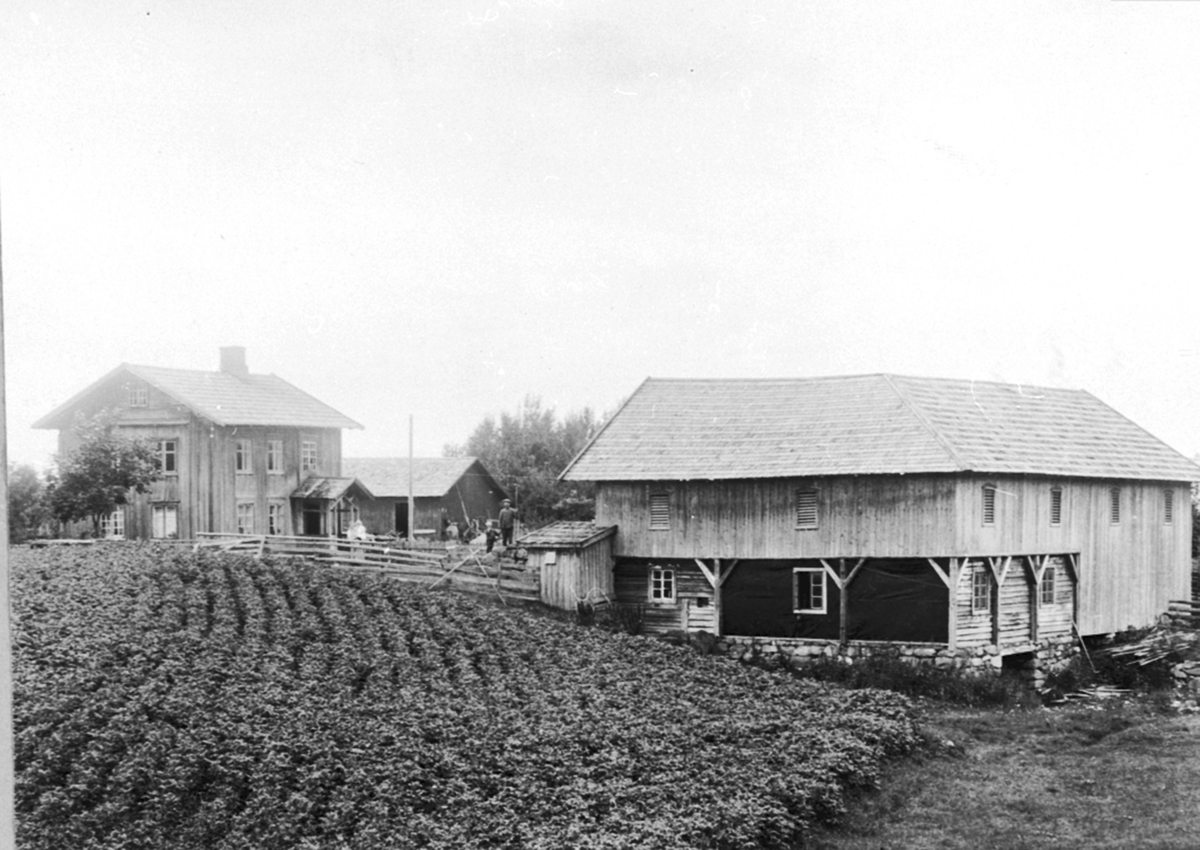 Eksteriør, gardsbruk, Nystuen øvre, Kvernstubrua, Ringsaker. Hovedbygning og låve. Folk på gardsplassen. Eier da bildet ble tatt: Theodor Holum.