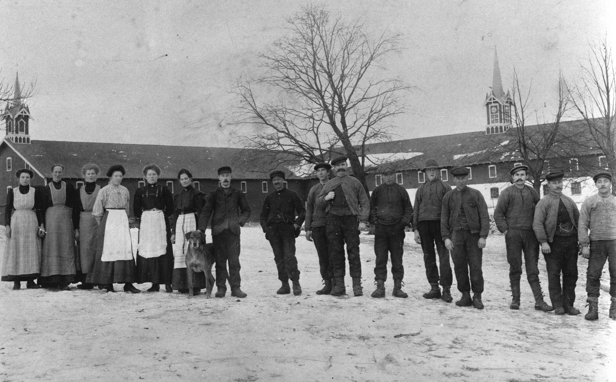 Gruppe arbeidere foran låven på Hoel gård, Nes, Hedmark ca. 1920. Fra venstre er Ingeborg Haugen, Kari ?, Ingeborg Skattebo, Gunda Evensen, Inga Lene, Berte Marie Sendstad, sveiser Gjerde, Mathias Myhrstuen, Nils Holter, arbeidsformann Bernt Evensen, Johan Hovelsrud, Karl Nordby, Kristian Håkonsen, Ludvik Sande, Nikolai Martinsen, Knut Hegge.