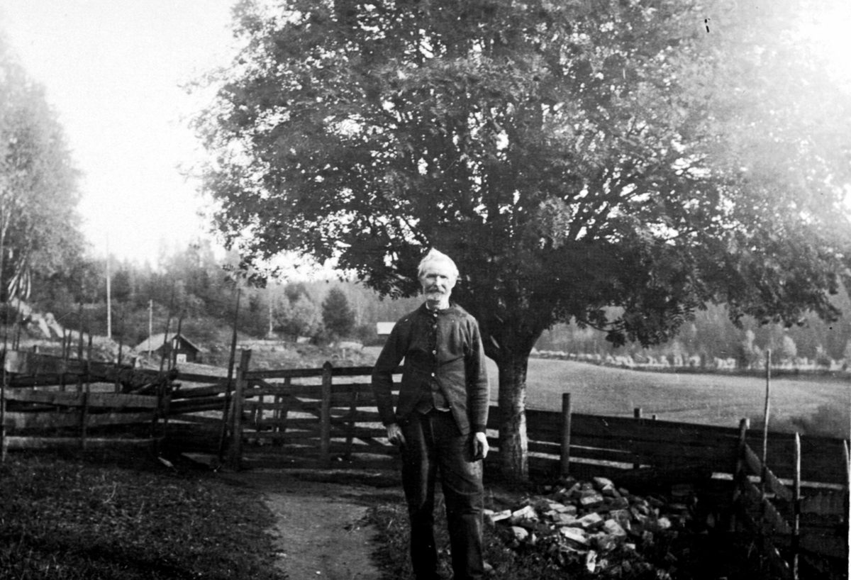 Ringsaker, Moelv, Even Eriksen Skreddersveen (1850-), Husmann under Stein gård, Skreddersveen husmannsplass 248/16 i Røsslyngvegen 24, i bakgrunnen sees plassene Grønbakken og Dokken,