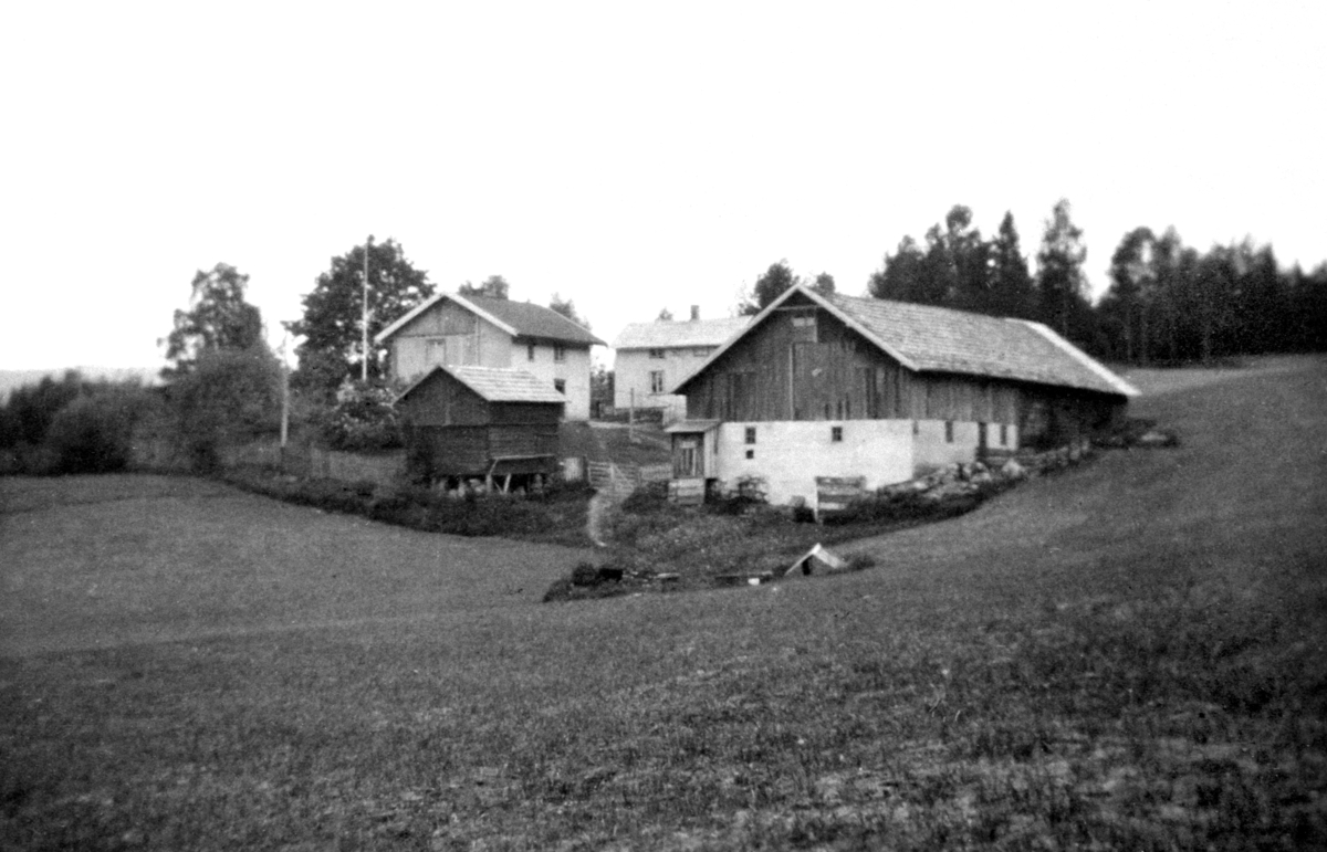 Ringsaker, Moelv, Gardsbruket Ekredalen øvre,