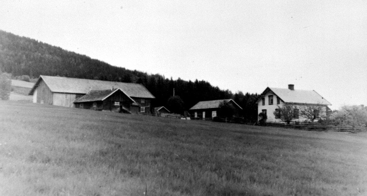 Eksteriør, Bye østre, Ring, Ringsaker.