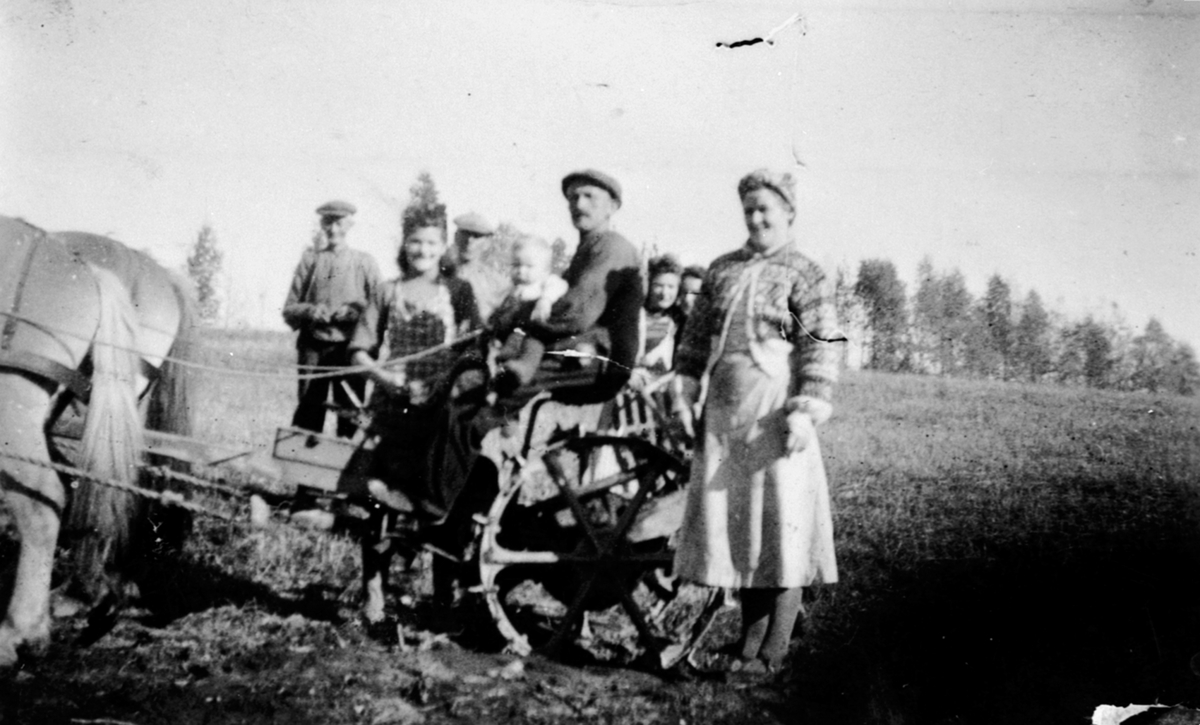 Potetonn på Haugsveen nedre, Åsmarka, Ringsaker. Hest med potetopptager. Familien Grønvold med naboer. Fra venstre er Lars Onsumengen, Alfild Lunde, Lars Haugsveen, barnet er ukjent, Syvrind Haugsveen, Marie Evensen og foran til høgre er Emma Grønvold.