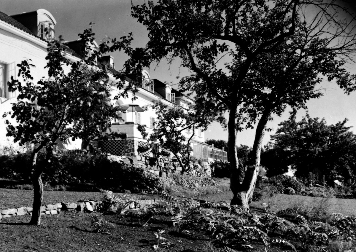 Hovedbygningen på Hovinsholm, Helgøya sett fra hagen. Med terasse og vinterhage.