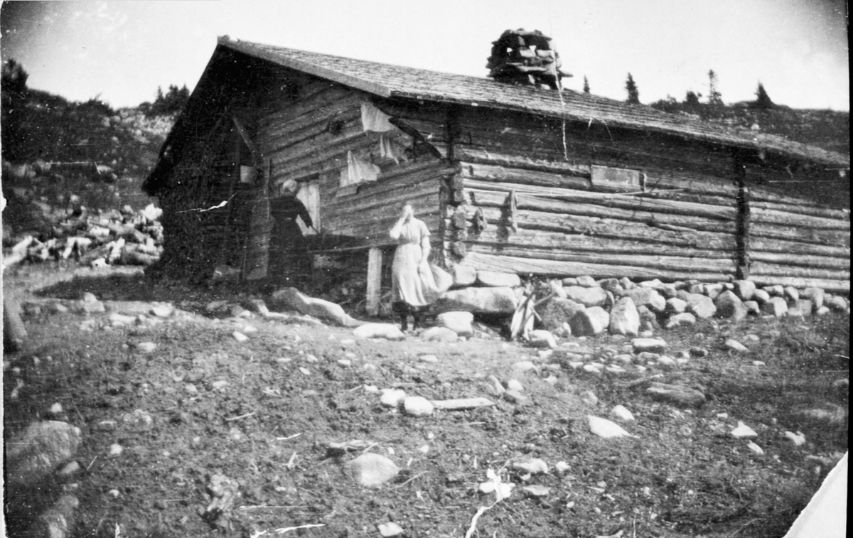 Eksteriør, seterbruk, størhus på Snultra seter, Ringsakerfjellet.