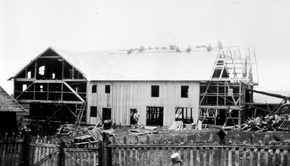 Bygging av ny låve på Østby, Austby i Stensengdalen, Ringsaker. Arbeidere på taket.