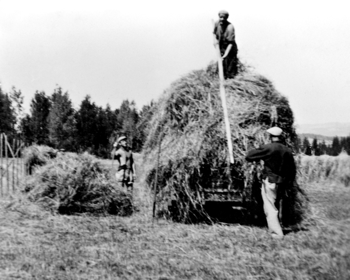 Høyonn på Tørud gård, Ringsaker. Innkjøring på vogn, hesjer, folk.