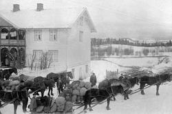 Korntransport fra Heramb, Ringsaker. Ni hester med kornlass 