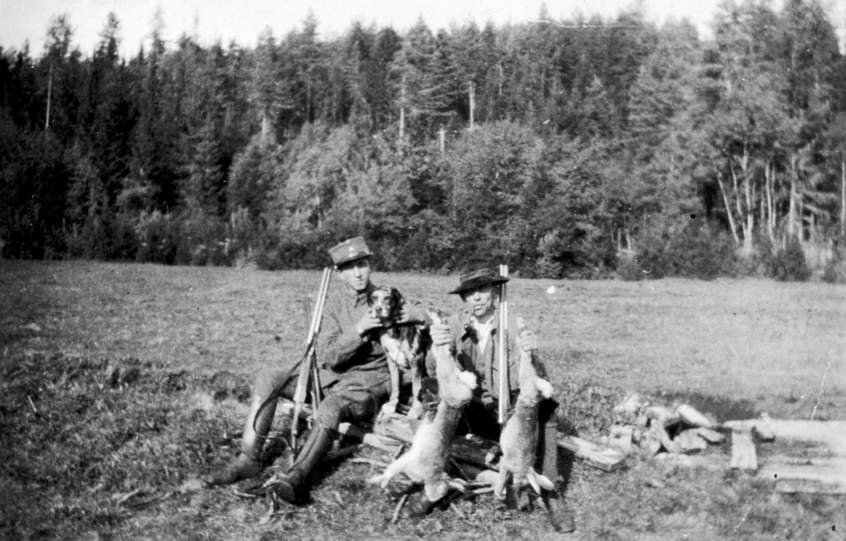 2 menn med gevær og hund på harejakt i Kvamsmarka, Nes, Hedmark.