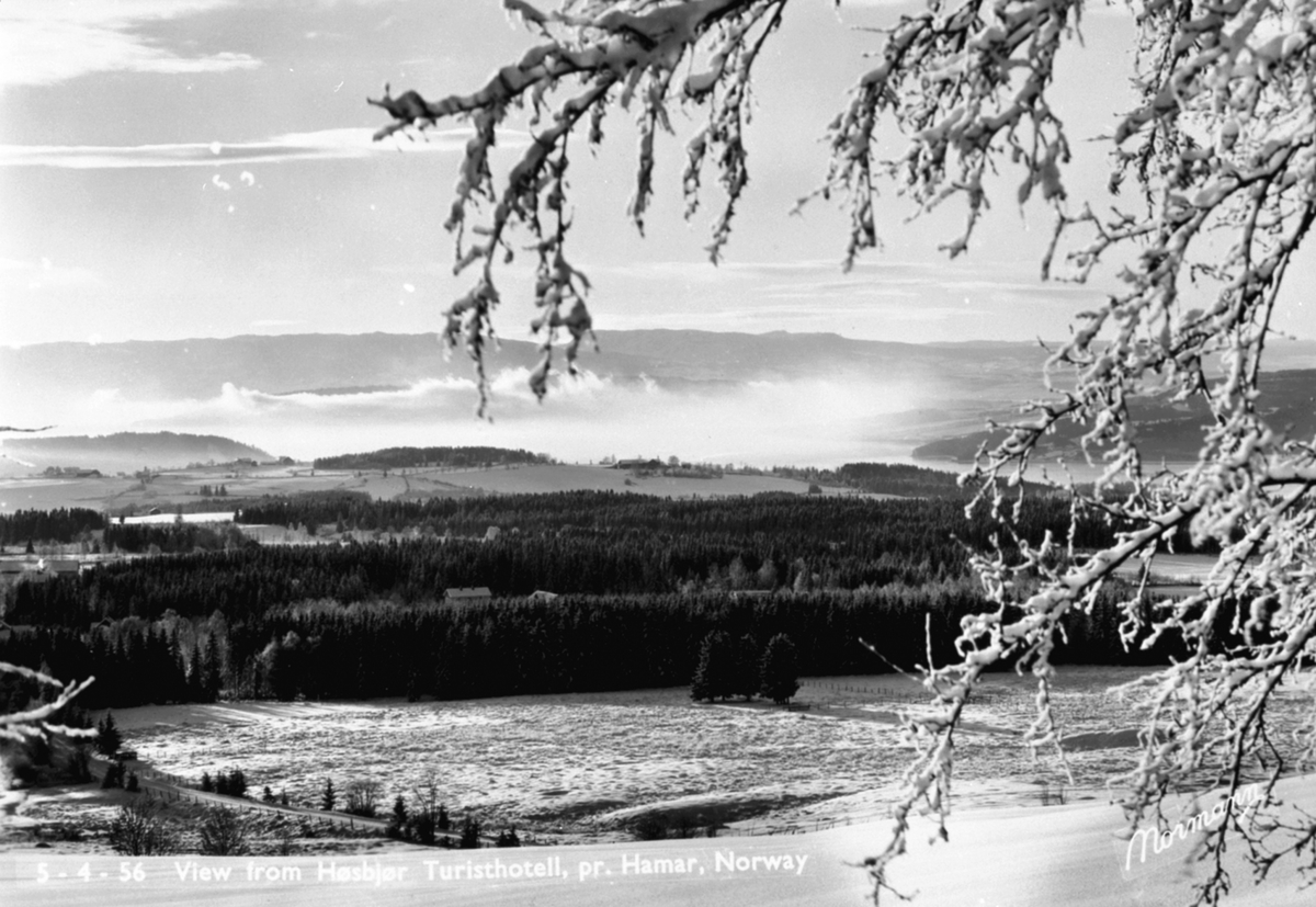 Utsikt fra Høsbjør Turisthotell, Furnes, vinter, frostrøyk.