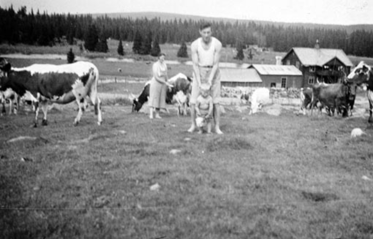 Setervangen på Olshølen seter i Åstadalen, Ringsakerfjellet. Gudrun Hovland, Pål Jaren med liten gutt, Gunnar Hovland med kuer foran sommermeieriet.