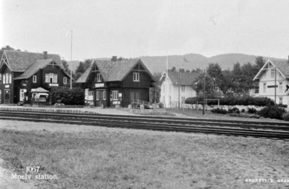 Postkort, Ringsaker, Moelv stasjon med godshus, M. P. Doblougs gård,