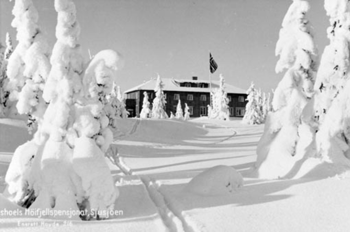 Eksteriør Mengshoel Høyfjellspensjonat, Sjusjøen. Vinter med snødekte trær. Mye snø. Postkort.
