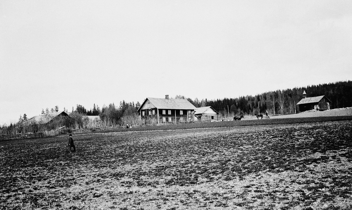 Gardsbruk, Sendstad, Nes, Hedmark. Hester og folk. Fremst på jordet er Ole Olsen Sendstad (1827-1907).