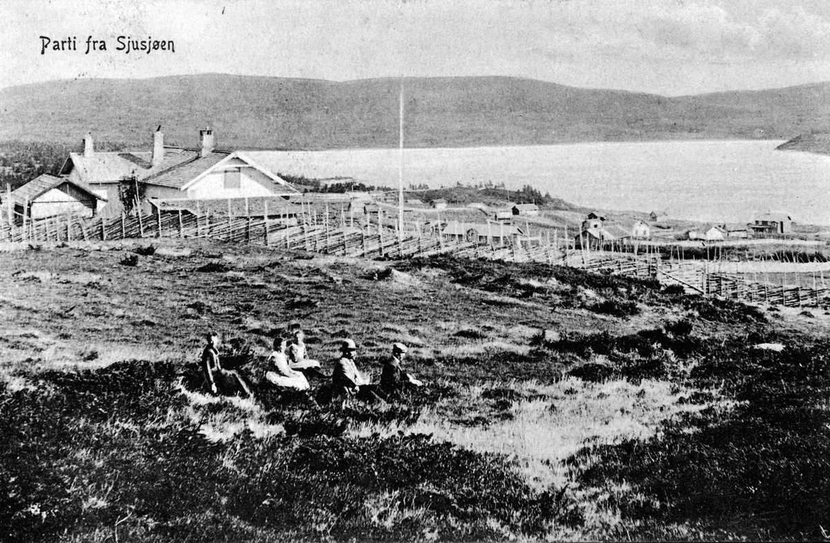 Parti fra Sjusjøen, fem personer i forgrunnen, 1905-10.