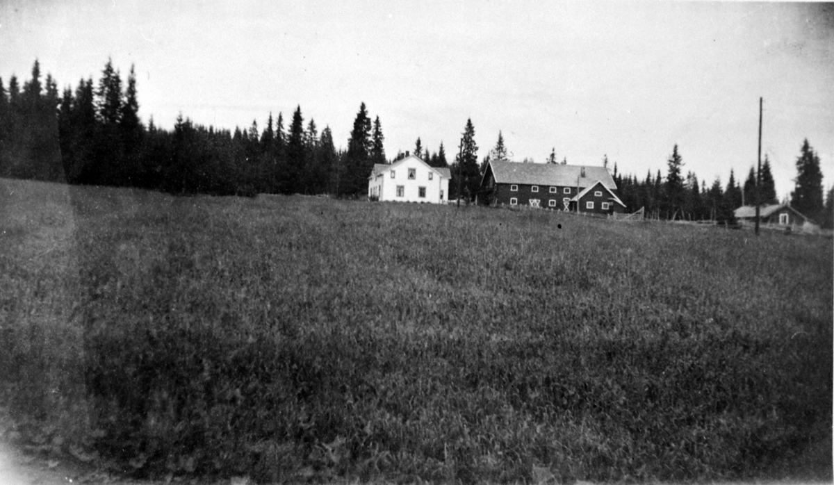 Veldre Almennings bestyrerbolig ved gamle Veldre sag, Nils Weideborg var bestyrer, eiendommen er nå delvis tilvokst med skog, Ringsaker.