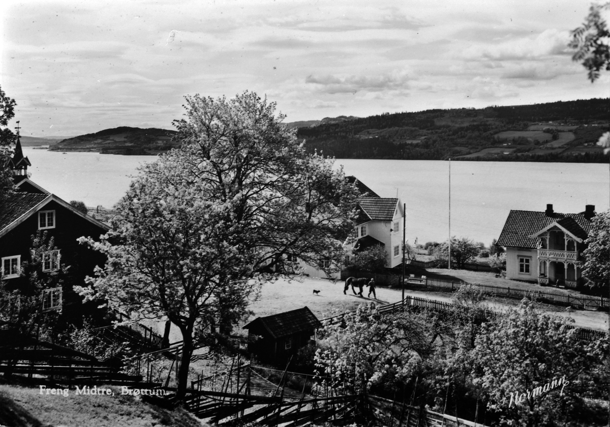 Eksteriør, Freng midtre, Brøttum, Ringsaker.