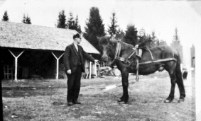 HESTEN PIRIL MED LITEN GUTT THOR IMMERSLUND PÅ RYGGEN, KR. THOMASSEN HOLDER, VENDKVERN NORDRE