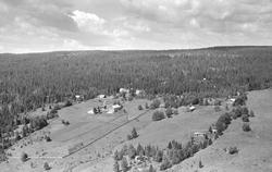 Widerøe skråfoto Hamar og Vang kommune