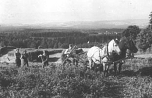 HØYONN, SLÅTTONN, GUDBRAND SKJESET PÅ SLÅMASKIN MED HEST, KAREN VESTIN, KAREN BUSTERUD, GUTT, SKJESET MITTRE