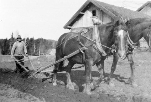 OPHUS SØNDRE i Vang, Hamar. VÅRONN, ? OPHUS MED TO HESTER SOM TREKKER PLOG. 