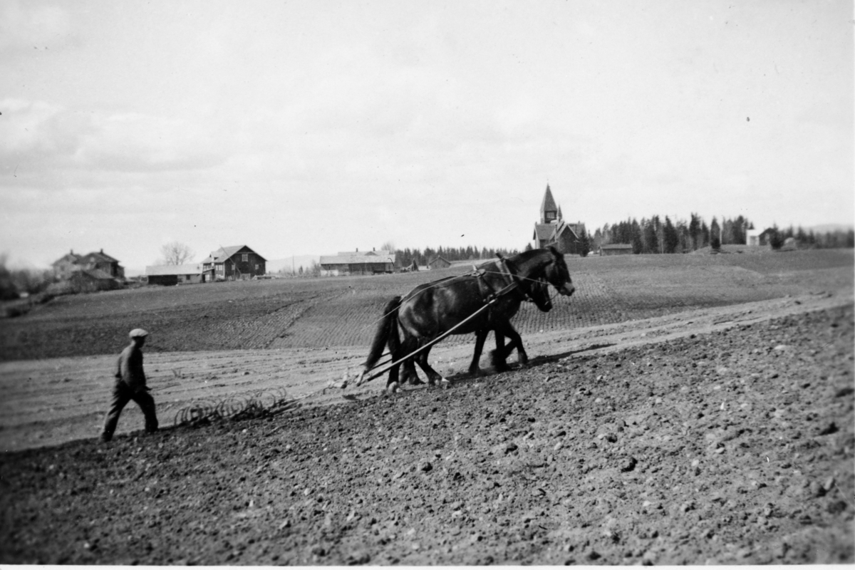 Kartomten, Øvre Vang, våronn, Laurits Kartomten harver med hester i tospann, hesteredskap. Av husene på Kartomtengardene sees kokhytta på Søndre Kartomten, bryggerhuset og låven Midtre Kartomten, låven på Vestre Kartomten, kapellet og Sandberg. 