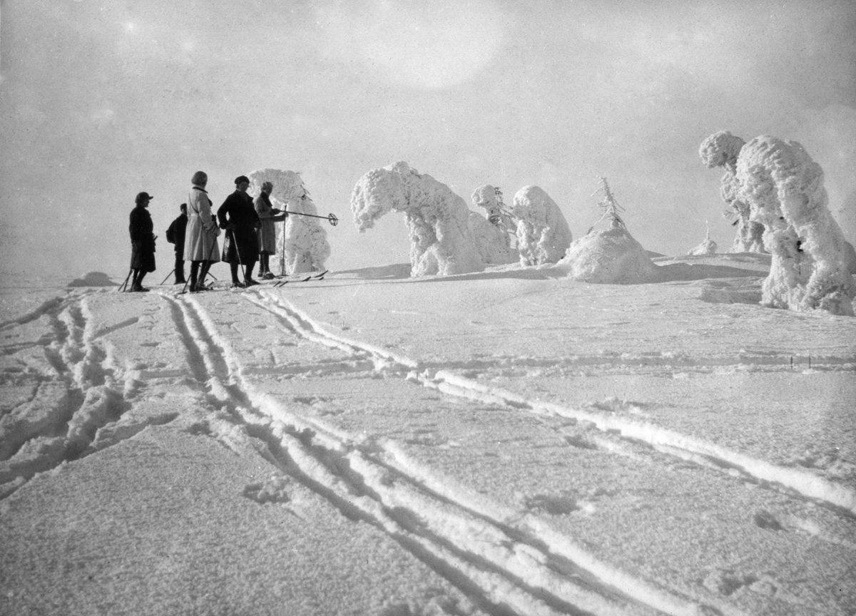 Stenfjellet 1930. Skiløperer ute på tur. 
Fra venstre Johanne Kløvstad, Johan Christiansen, Hjørdis Hansen, Maja Hansen, Asta Christiansen, bak (usynlig) Johannes Markestad
Foto tatt av Reidar Hagen