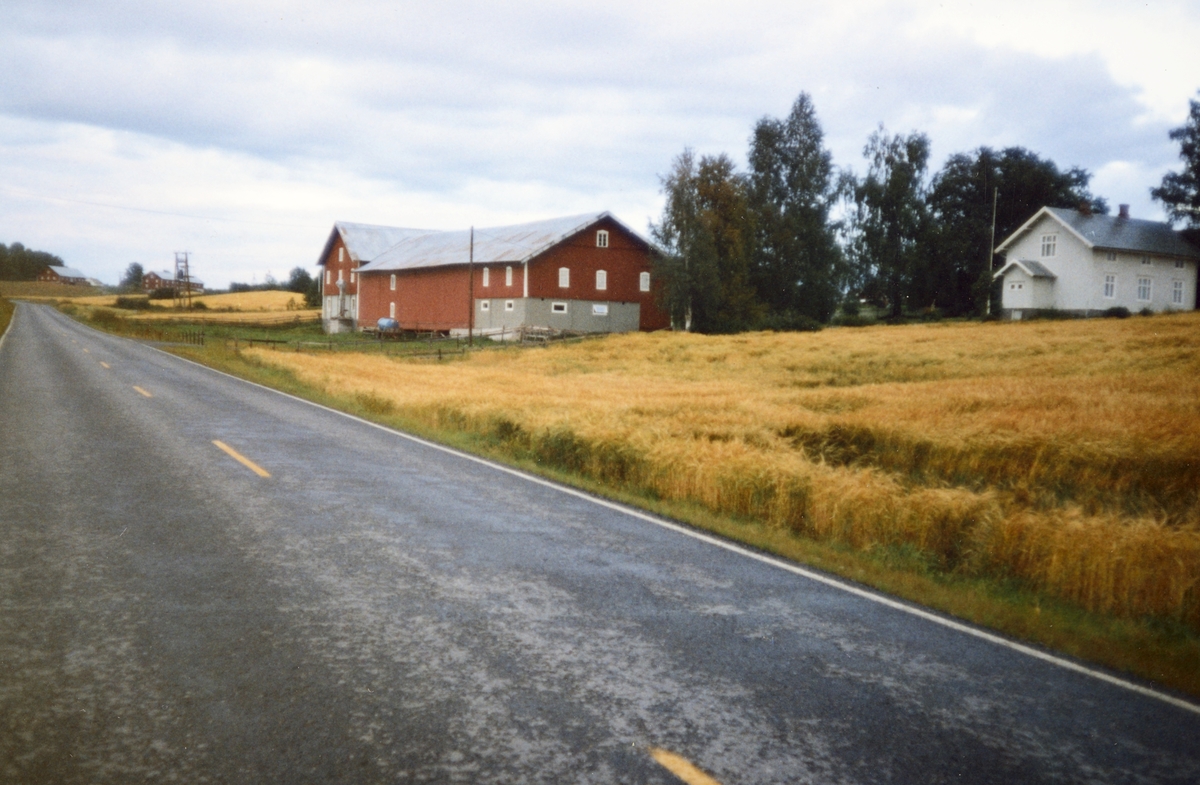 Vestre Blystad. 73/1 Vang H. på 1990-tallet. 