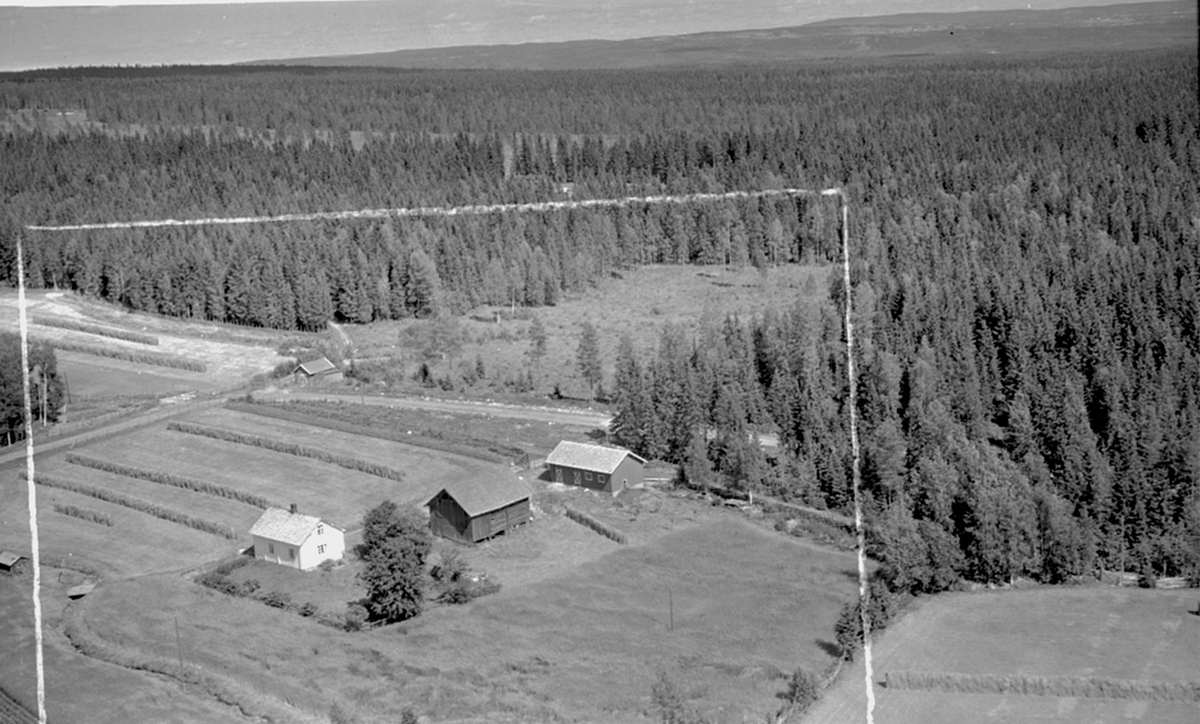 FLYFOTO PETTERSBORG NORDRE GARD