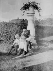 EKSTR: HASSELBAKKEN HAGE, BLOMSTERSØYLE, HEKK, GR: 3, HASSEL