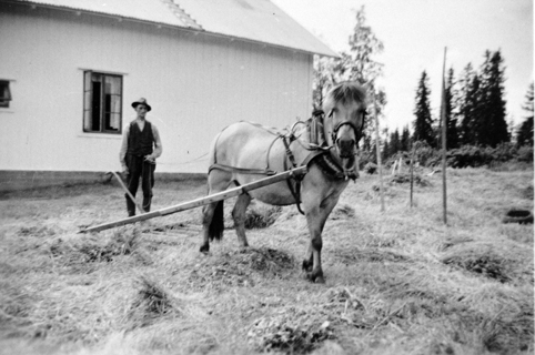 SMÅBRUKET BRÅTEN, HEST MED HØYRIVE, HØYONNA, SLÅTTONNA, ALBERT PRAM MED BLAKKEN