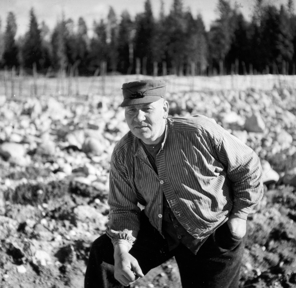 Dyri gard i Løten, slåttonn. Gardbruker Paul Svevad, portrett. 
Svevad var formann i Fura og Svartelva tverrelvforening, fløterforening