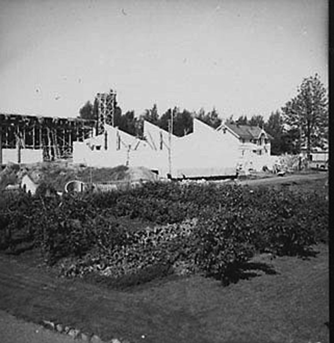 BYGGING AV STANGE REALSKOLE, 