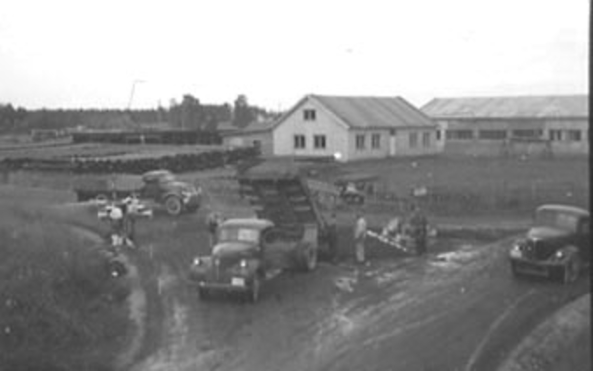 Stange Bruk, asfaltering, asfaltmaskin,asfaltarbeidere, lastebiler, fra venstre Chevrolet 1946-47, Dodge 1946-47 og Reo 1946-48.