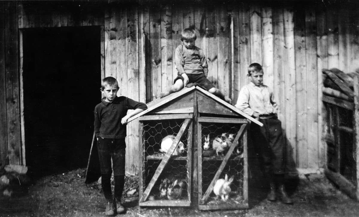 Bryhni nordre, barn, kaninbur, ca. 1920. 