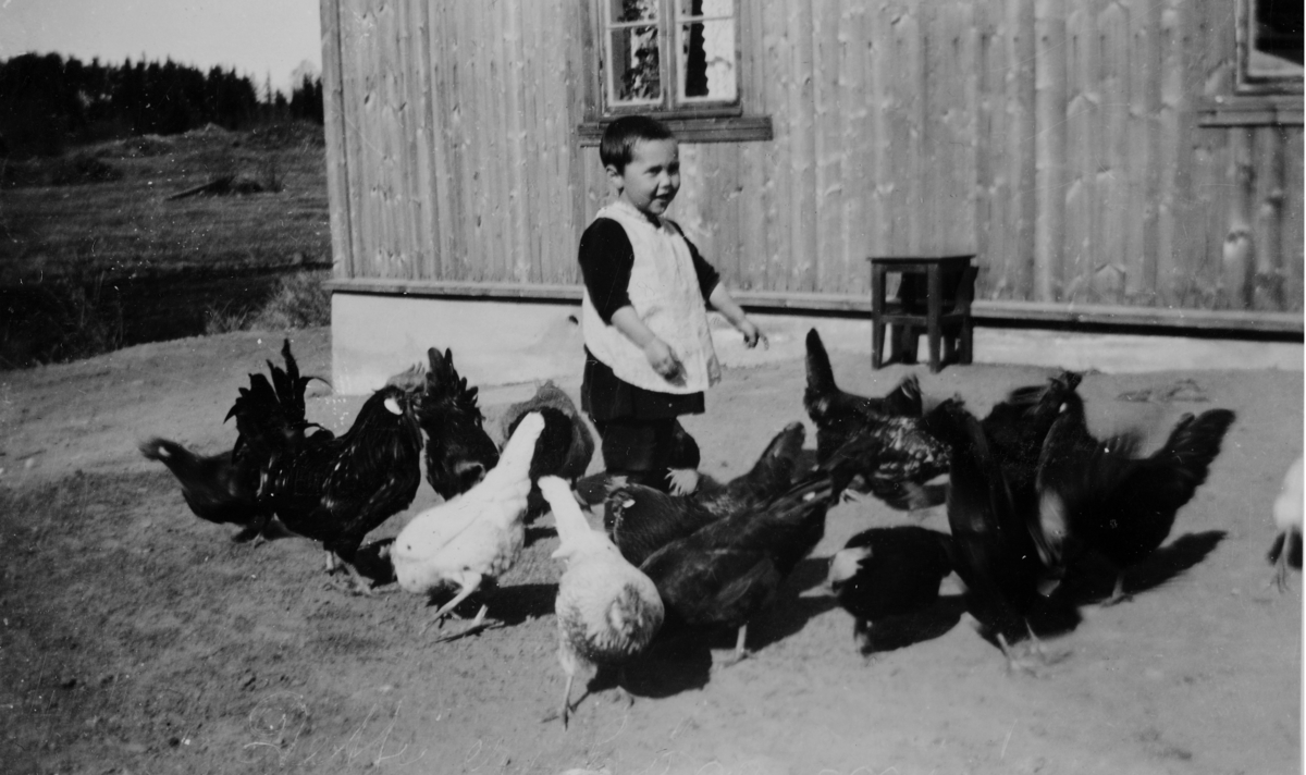 Barn mater høner, ukjent sted. 