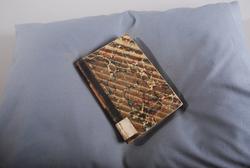 Alvøen Hovedbygning