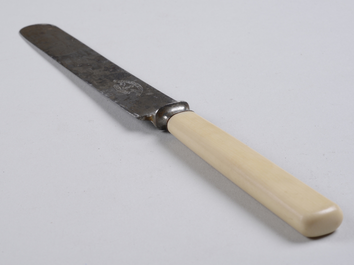 Kniv med benskaft og rett knivblad med avrundet avslutning.