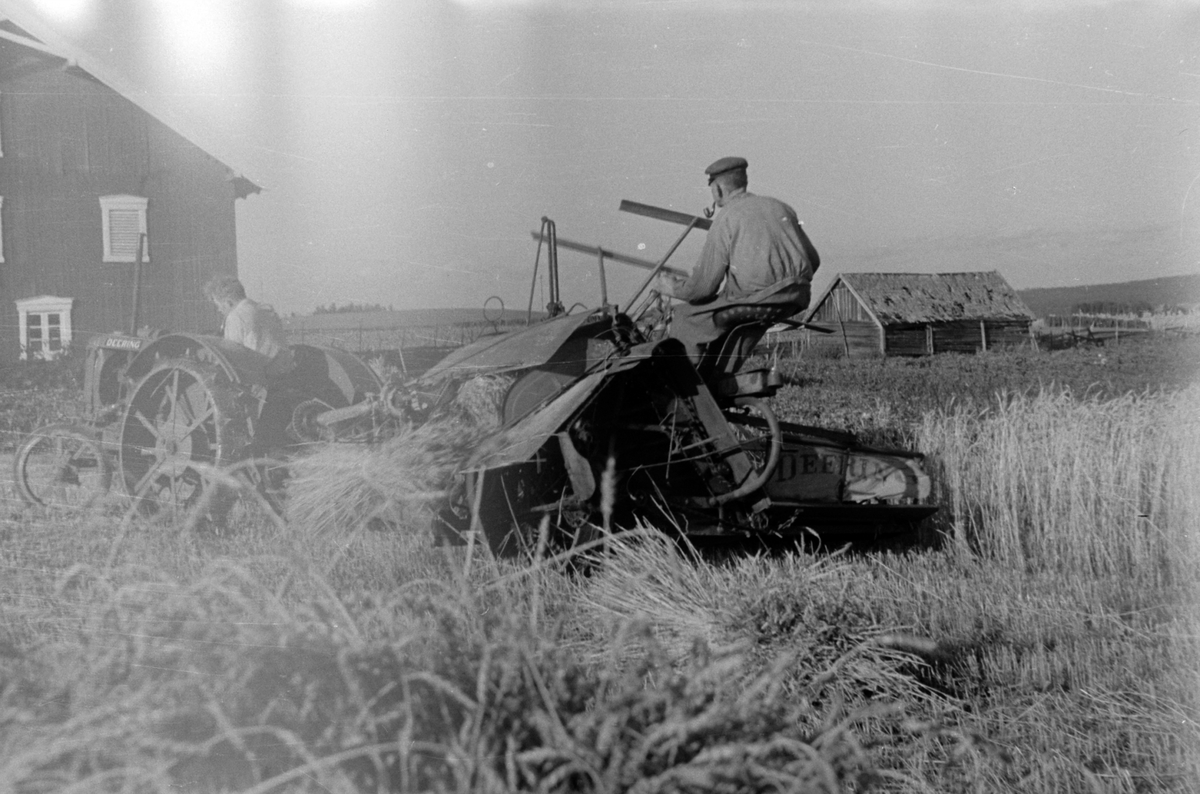 SKURONN, TRAKTOR MED SLEPETRESKER, UTHUS GÅRD, ROMEDAL.