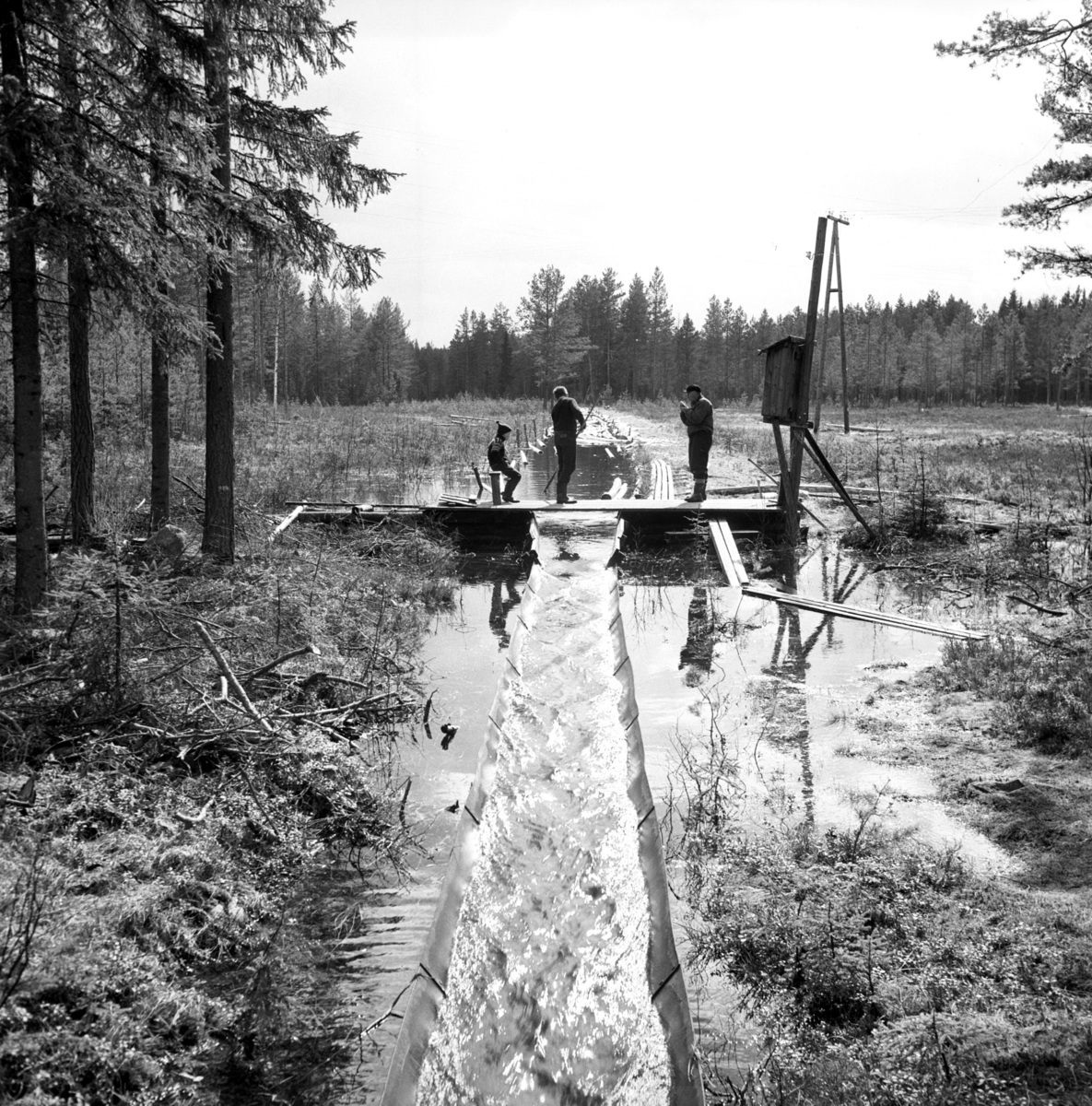 Fløting-Rennfløting