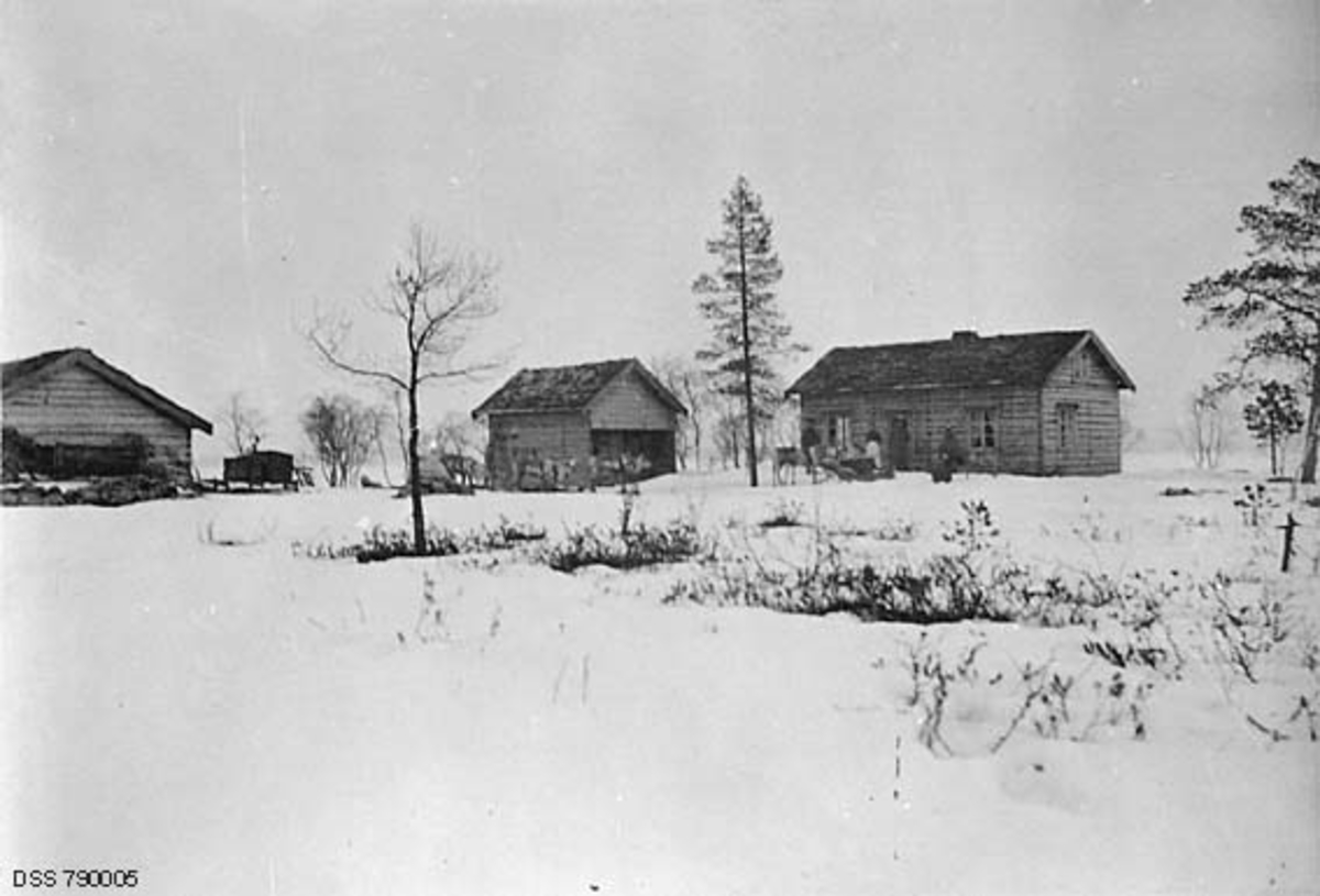 Skogvokterboligen Nesheim i Pasvikdalen i Øst-Finnmark skogforvaltning.  Fotografiet er tatt på seinvinteren, i en viss avstand fra tunet.  Vi ser våningshuset, som var en enetasjes laftekonstruksjon med torvtak.  Til venstre for den ser vi noe som later til å ha vært et stabbur, og lengst til venstre i bildet ser vi gavlen på en uthusbygning, muligens fjøset.  Foran bygningene skimter vi et reisefølge, fire mennesker og fem kjørerein med sleder.

Nesheim ble bygd i 1903, som bolig for en nyansatt skog- og grensevokter,  Det opprinnelige Nesheim, som er avbildet på dette fotografiet, lå like ved innsjøen Vagatim og bare om lag 500 meter fra en annen skog- og grensevokterbolig, Skogly.  Begge de to plassene ble bygd med våningshus, fjøs, stall og løe.  Ettersom grensevokteroppgavene var en politifunksjon som var underlagt Justisdepartementet, mens skogvokterfunksjonen var underlagt Landbruksdepartementets skogavdeling, ble funksjonærboligene bygd som et spleiselag mellom de to departementene.  I 1904 ble det også bygd et stabbur til forrådshus ved de to funksjonærboligene.  Skog- og grensevokterne hadde anledning til å dyrke litt jord omkring tunene sine, men klimaet innebar begrensninger for hva som kunne dyrkes.  Brukerne betalte ikke husleie, men måtte belage seg på å svare åbot - erstatning for skader som kunne oppstå på grunn av forsømt vedlikehold når de etter hvert flyttet fra brukene sine igjen.  Bygningene på dette fotografiet ble herjet av brann den 16. april 1909.  Ettersom det hadde vist seg vanskelig å dyrke arealene omkring eiendommen, slik at brukerne kunne være noenlunde sjølforsynte med de jordbruksproduktene det var mulig å dyrke i denne regionen, ble det bestemt at forsikringssummen skulle investeres i en ny skogvoktergard ved Galgonjarg, cirka tre kilometer unna.  Der ble det nye Nesheim bygd.

OBS! Vinteren 2024 fikk museet denne korrigerende og supplerende informasjonen fra Rolf Randa: 
«Det var bare våningshuset på bildet som brant. Skogvokter Øksendals kone og  barn var alene hjemme og berget seg ut. Brannen ble tilfeldig oppdaget og de fikk hjelp (kjørt med rein og slede) til å komme seg til Skogly, hvor heller ikke den andre skogvokteren Anders Ryeng var hjemme. Stabbur og fjøsbygning brant ikke og ble flyttet. Stabburet står i dag på Øvre Pasvik Nasjonalparks infopunkt Gjøken.»