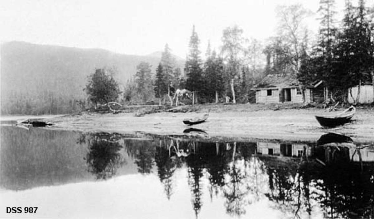 Skogstua ved Luspen ved Unkervatnet i Hattfjelldal. Fotografiet er tatt fra vatnet mot ei strand der skogstua ligger i bjørke- og granskog mot vatnet.  Det er en forholdsvis lang laftekonstruksjon med to vindusåpninger og dør mot vatnet.  En bordbygning til høyre for sjølve skogstua er antakelig et uthus.  Til venstre for bygningen er et eller annet opphengt til tørk eller lufting på ei raje mellom to trær.  Unkervatnet later til å være nedtappet, og to robåter ligger godt oppe på den tørre sjøbredden i forgrunnen.  En tredje båt ses ved vannlinja helt til venstre i bildet.  I bakgrunnen til venstre en skogkledd ås. 