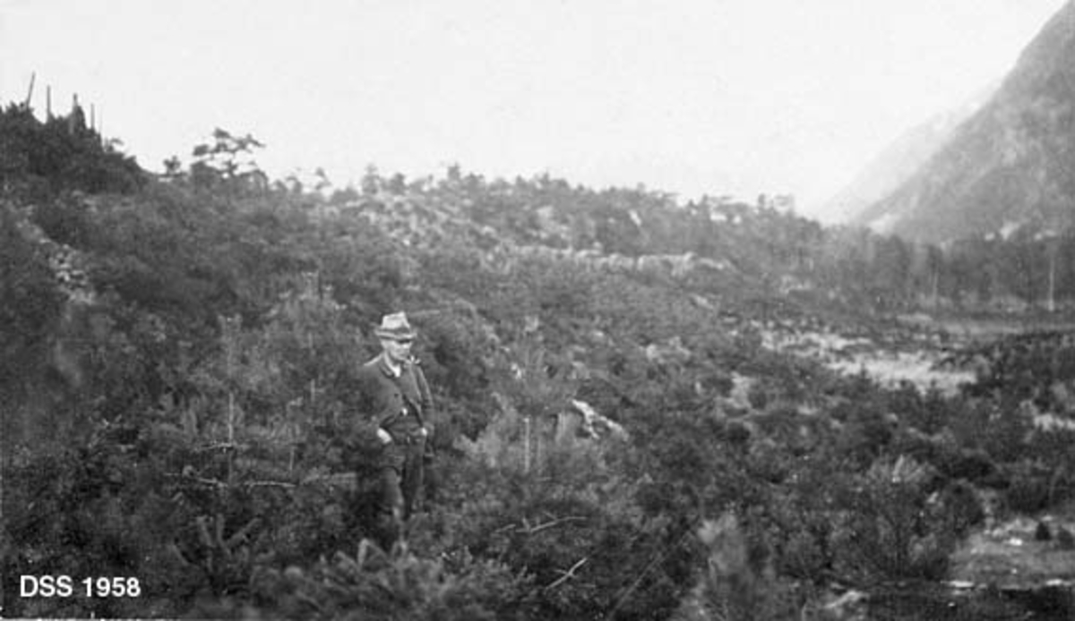 Planting av furu og gran på Rødlibøen i Friskogen i Os i Hordaland.  Fotografeiet er tatt mot en liten rygg i terrenget der det vokser 1-2 meter høye bartrær.  En dresskledd og piperøykende skogfunksjonær står i forgrunnen. 